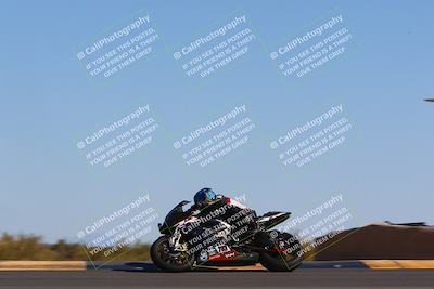 media/Mar-12-2022-SoCal Trackdays (Sat) [[152081554b]]/Turn 9 Side (145pm)/